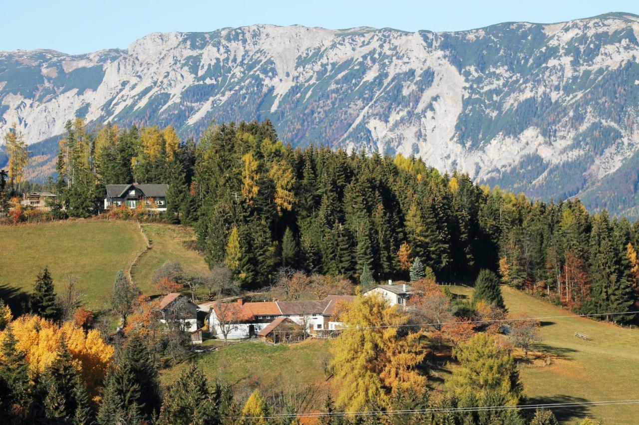 Miniferienwohnung Fuer Unkompliziertes Naturliebhaberpaerchen Payerbach Exterior foto