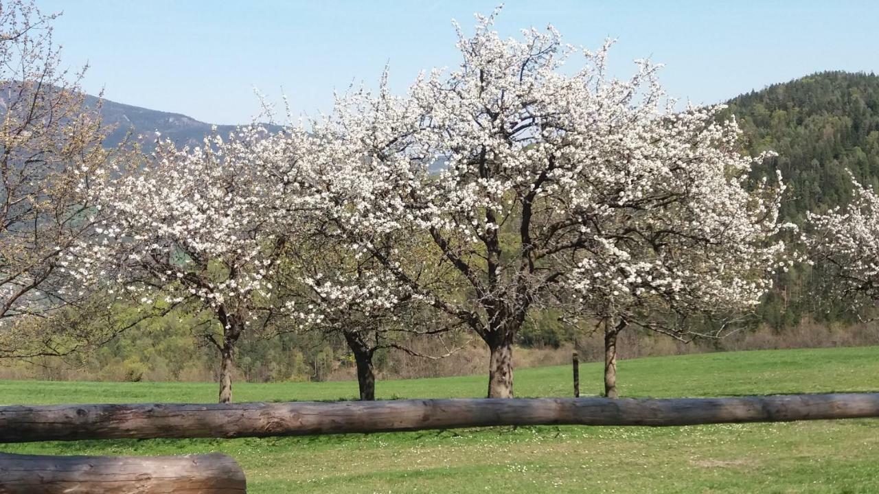Miniferienwohnung Fuer Unkompliziertes Naturliebhaberpaerchen Payerbach Exterior foto